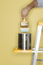 Lake Norman Professional Painters